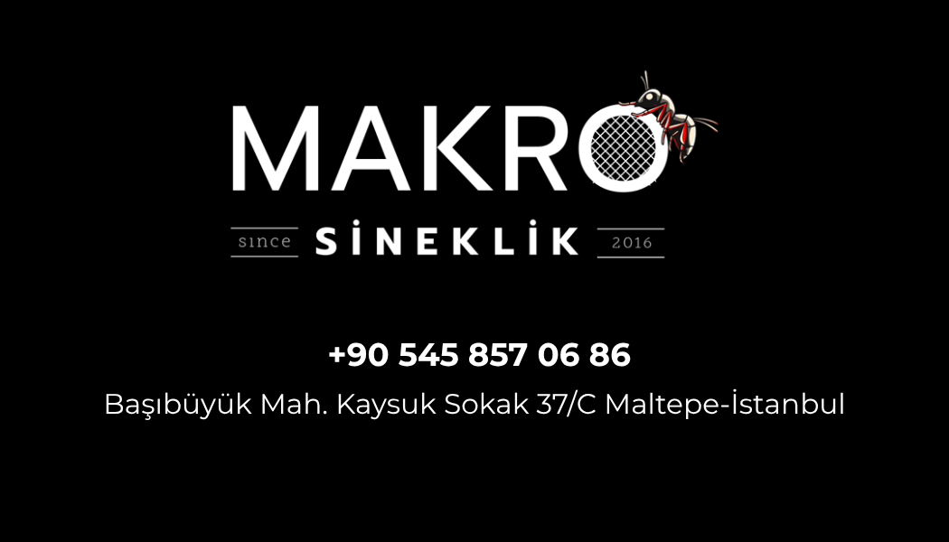 Ek Fotoğraf